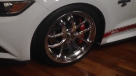 Shelby Super Snake 2017 – Motorclassica Concours D’Elegance