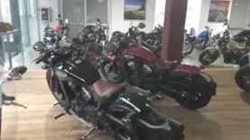 Luciano Moto Indian Live