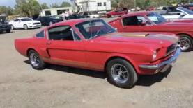 Victorian Mustang Club Casual Show in Melbourne