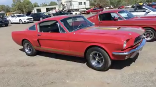 Victorian Mustang Club Casual Show in Melbourne