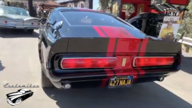 Benedict Castle 2019