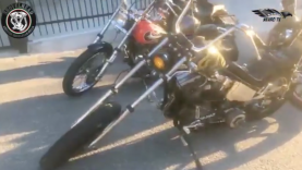 20° compleanno del registro Shovel Italia