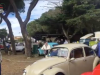 VW Cecina Show 2019