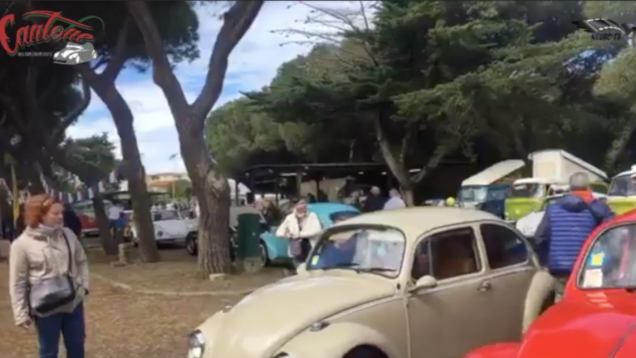 VW Cecina Show 2019